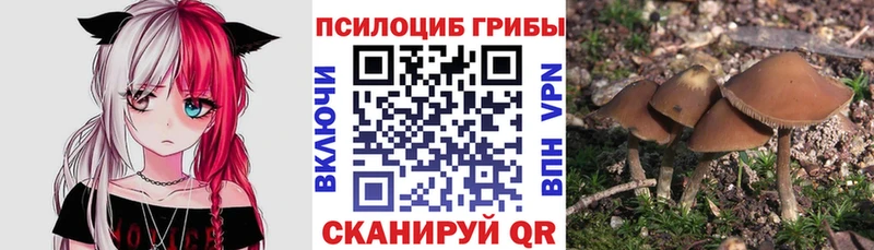 Псилоцибиновые грибы Psilocybe  Ялта 