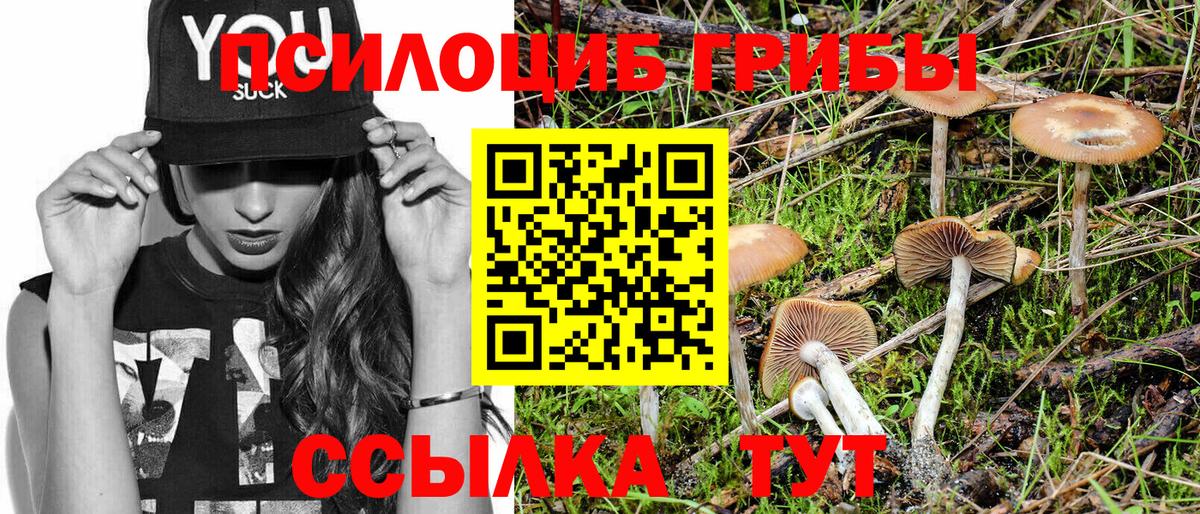Галлюциногенные грибы Cubensis  Вход с VPN  Ялта  Псилоцибиновые грибы мухоморы 
